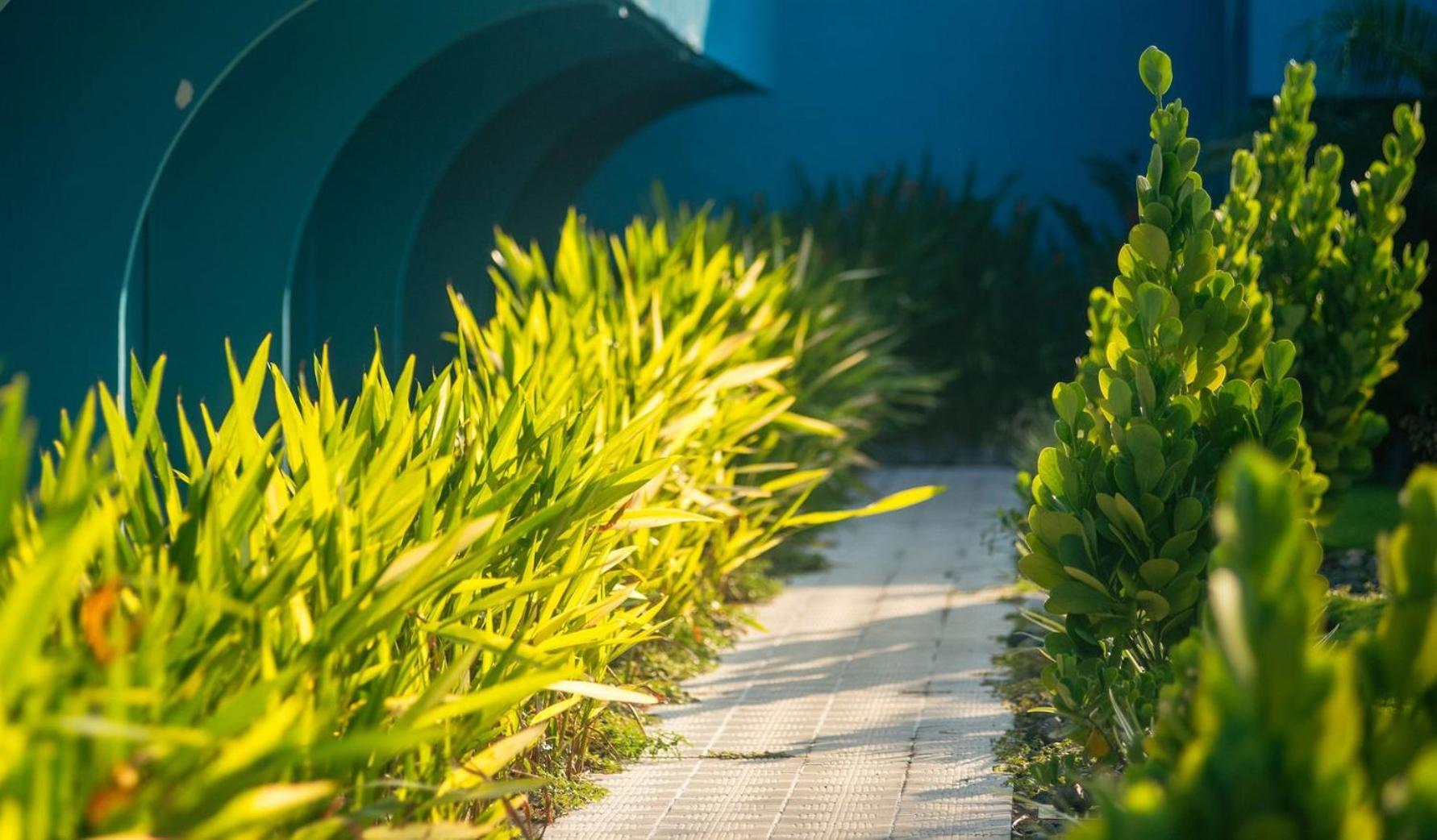 Beach Break Resort Jaco Exterior photo